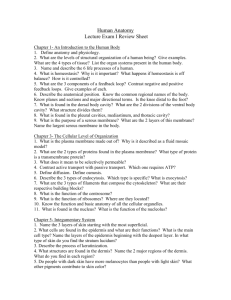 2401 Lecture Exam I Review Sheet