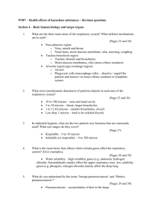 Answers Section 4
