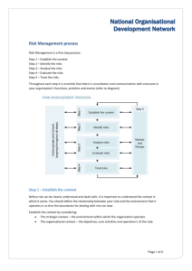 Risk Management process