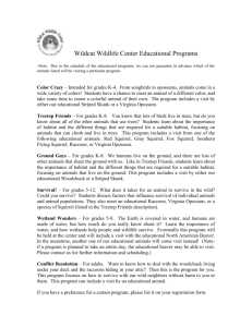 Wildcat Wildlife Center Educational Programs