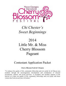 Little Mr - International Cherry Blossom Festival