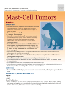 mast-cell_tumors