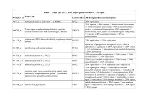 Table 1, suppl: List of 123 DNA repair genes used for PCA