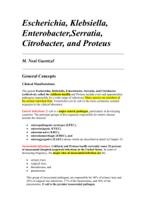 Escherichia, Klebsiella, Enterobacter,Serratia, Citrobacter, and