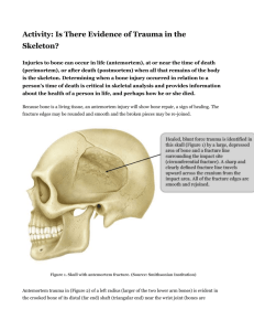 Activity: Is There Evidence of Trauma in the Skeleton