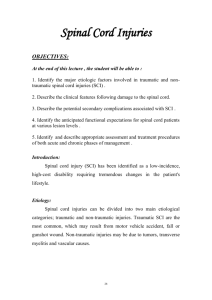 Spinal Cord Injuries