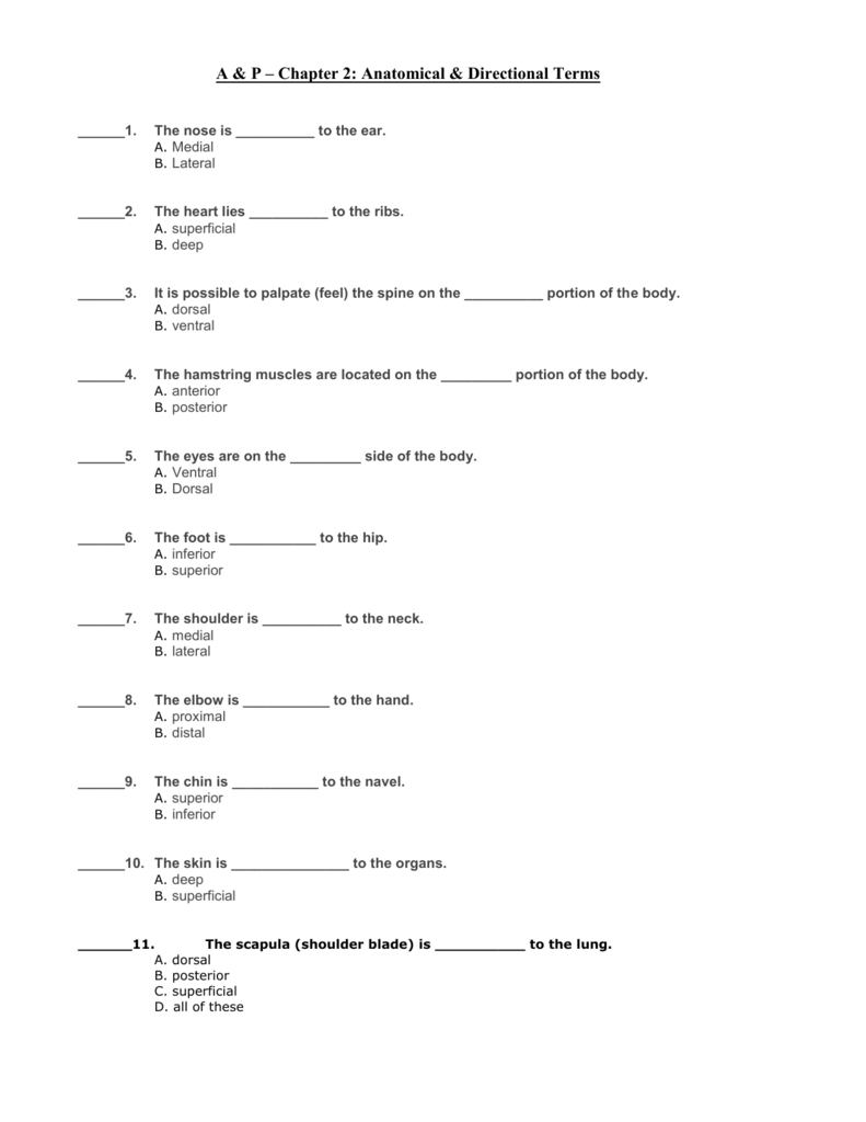 A & P – Chapter 21: Anatomical & Directional Terms Inside Anatomical Terms Worksheet Answers