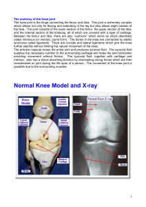 Disorders of the patellofemoral joint are a common cause of knee