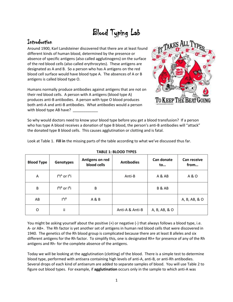 Blood Type Agglutination Chart A Visual Reference Of Charts Chart Master