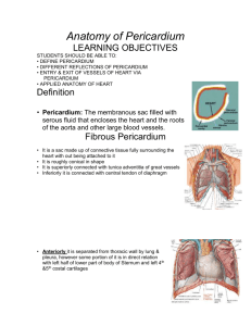 Anatomy of Pericardium