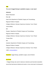 The use of maggot therapy in paediatric surgery: a case report