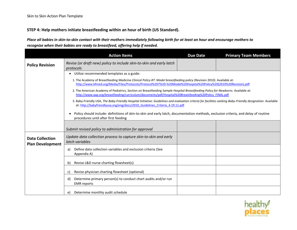 Action Plan Chart Template | HQ Template Documents