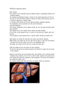 Liver Segmental Anatomy Robin Smithuis Liver anatomy can be