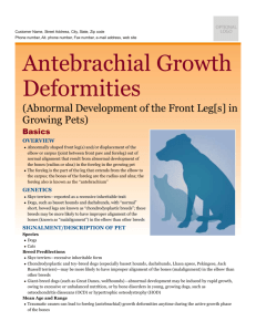 antebrachial_growth_deformities