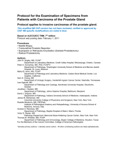 PROSTATE GLAND: Radical Prostatectomy