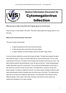 Cytomegalovirus Infection - Visual Impairment Network Children