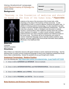 Using Anatomical Language HASPI Medical Anatomy & Physiology