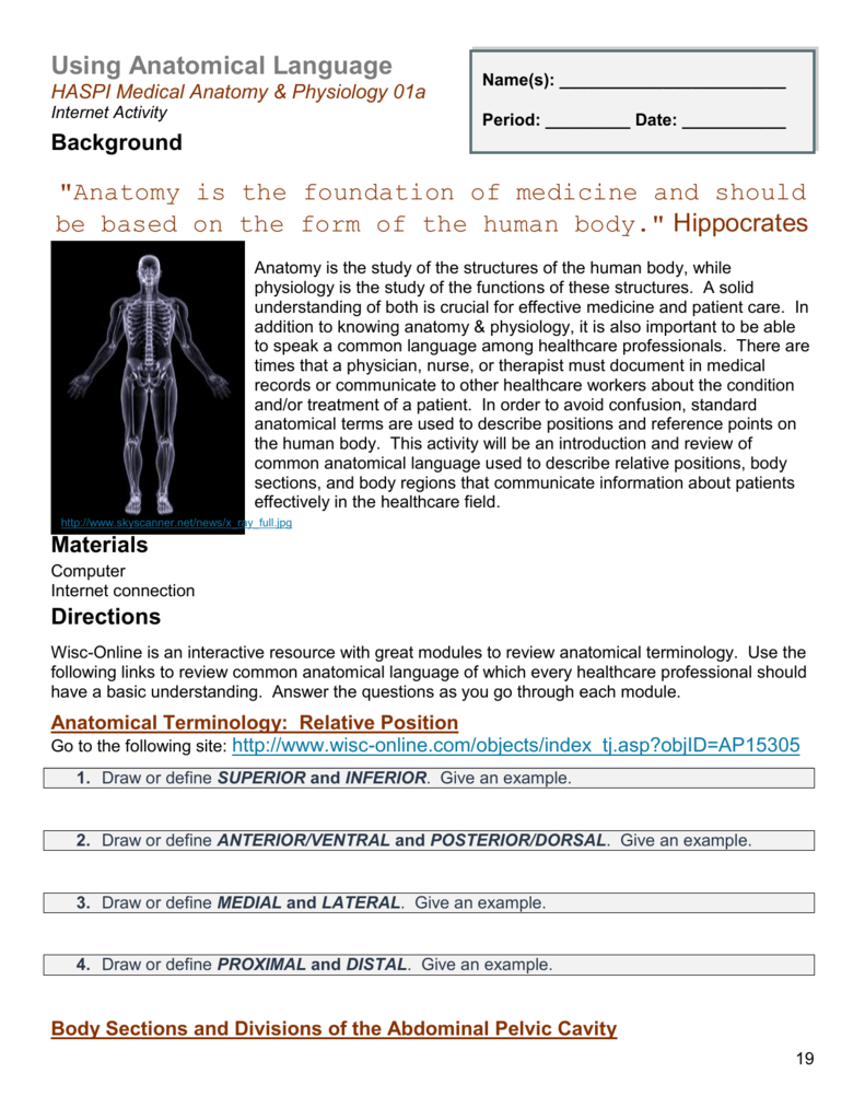 Using Anatomical Language Worksheet Answers