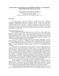 upper airway assessment in excerising horses: future role