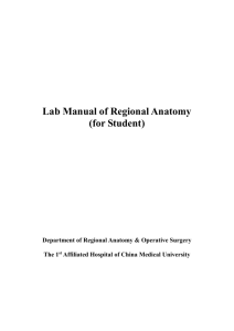 Lab Manual of regional anatomy for student