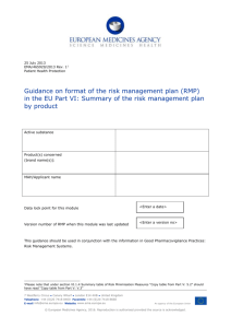 Guidance on format of the risk-management plan in the European