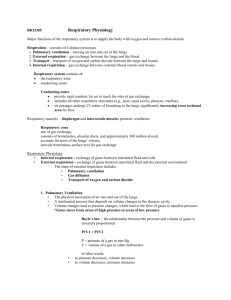 Respiratory Physiology