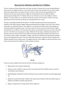 Recurrent Ear Infections and Glue Ear in Children