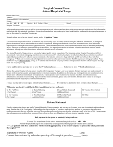 Surgical Consent Form - The Animal Hospital Of Largo