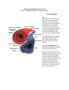 Unit 7 – Circulatory System - The Blood Vessels