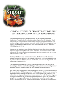 clinical studies of chicory root on human blood sugar