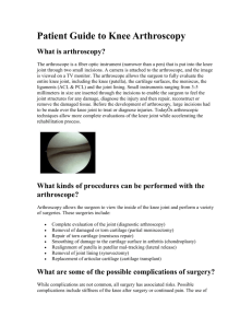 Patient Guide to Knee Arthroscopy