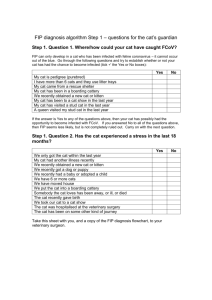 FIP diagnosis algorithm Step 1 – questions for the cat`s guardian