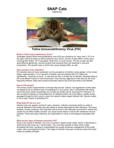 SNAP Cats snapcats.org What is Feline Immunodeficiency Virus