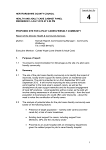 Health & Adult Care Cabinet Panel Wednesday 4 July 2012 at 2pm