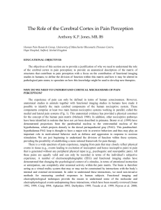 The Role of the Cerebral Cortex in Pain Perception