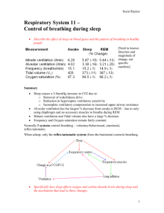 Respiratory System 2