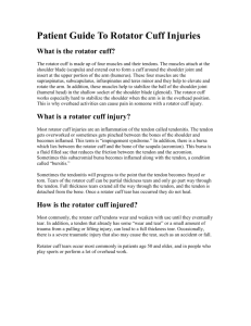 Patient Guide To Rotator Cuff Injuries