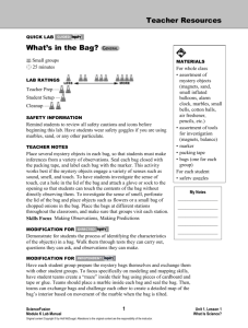 Teacher Resources Quick Lab What`s in the Bag? Small groups 25
