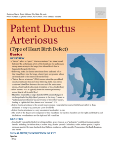 patent_ductus_arteriosus