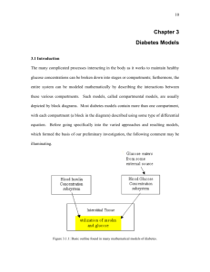 Diabetes Models