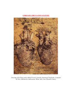 CORONARY CIRCULATION ANATOMY Drawing of the Heart and its