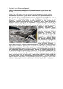 A geographical analysis of melanistic cordylid lizard distributions