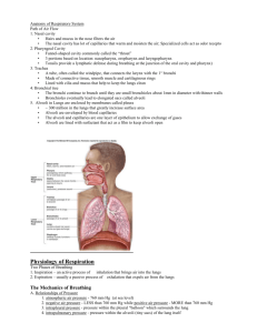 Anatomy of Respiratory System