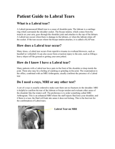 Patient Guide to Labral Tears