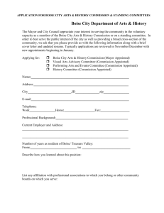 application for city of boise committees, commission and boards