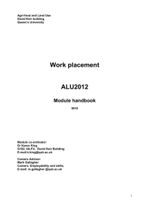 Work placement handbook 0910