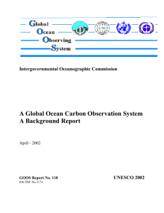 A Global Ocean Carbon Observation System: A Background Report
