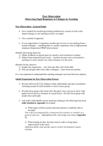 Guidelines for Peer Observation of Lessons