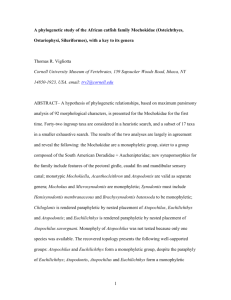 Vigliotta Mochokidae Phylogeny Manuscript1