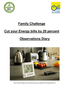 Family Challenge – Observations Diary